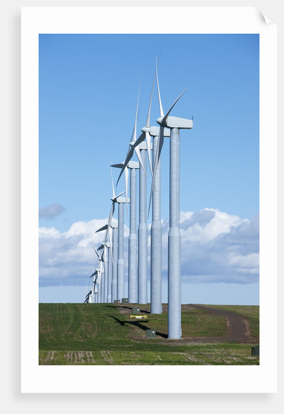 Windmills, Wallula, Washington by Anonymous
