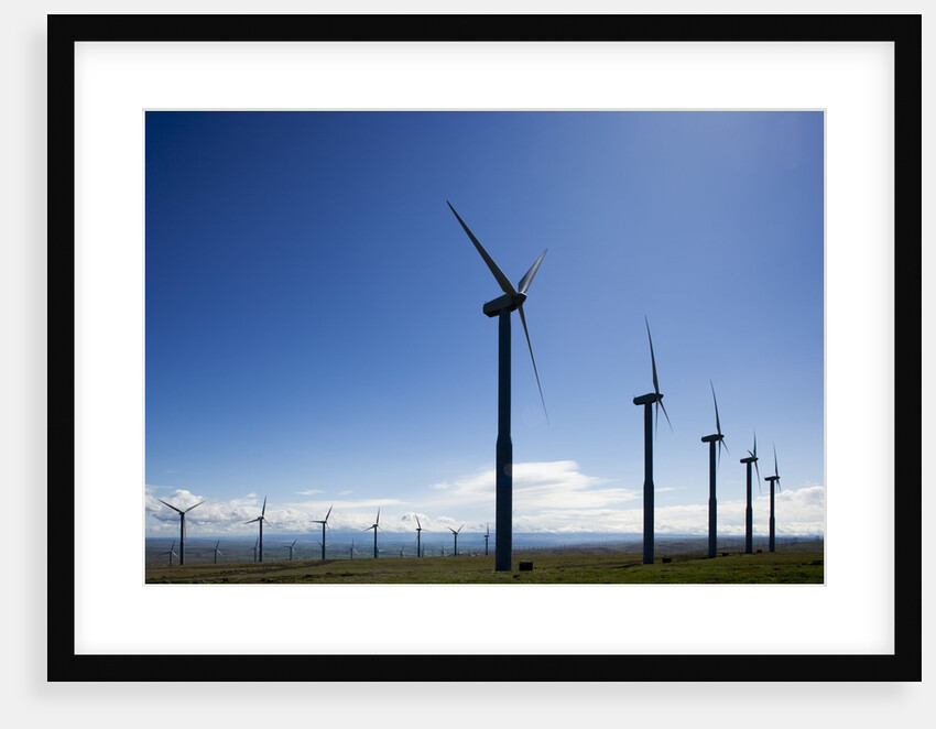 Windmills, Wallula, Washington by Anonymous