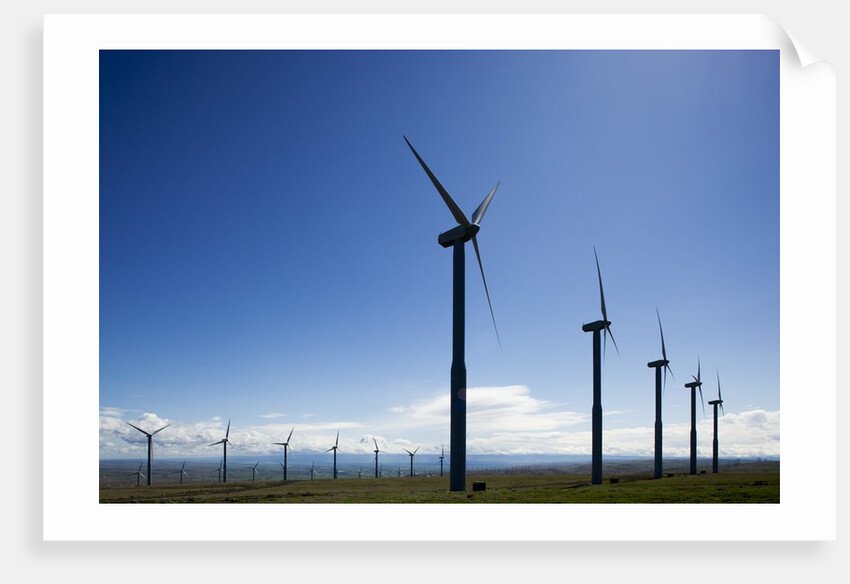Windmills, Wallula, Washington by Anonymous