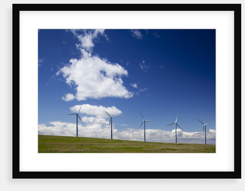 Windmills, Wallula, Washington by Anonymous