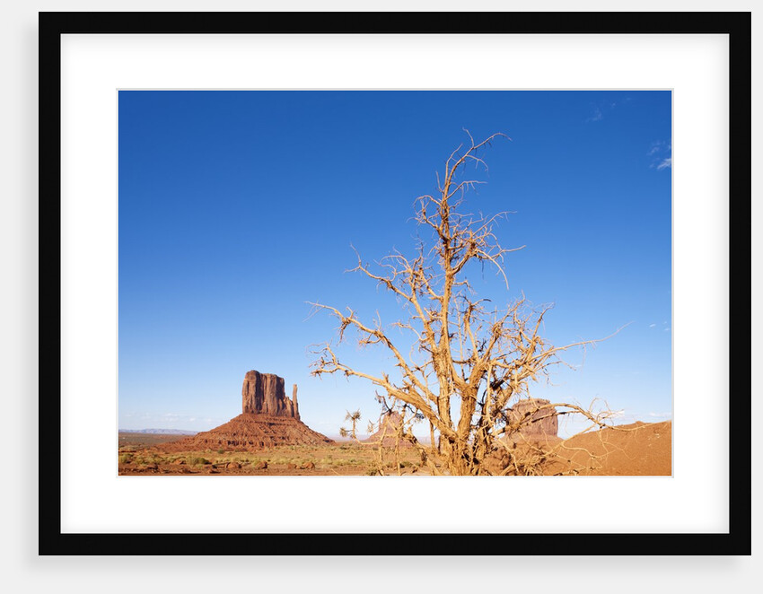 Monument Valley, Arizona by Anonymous