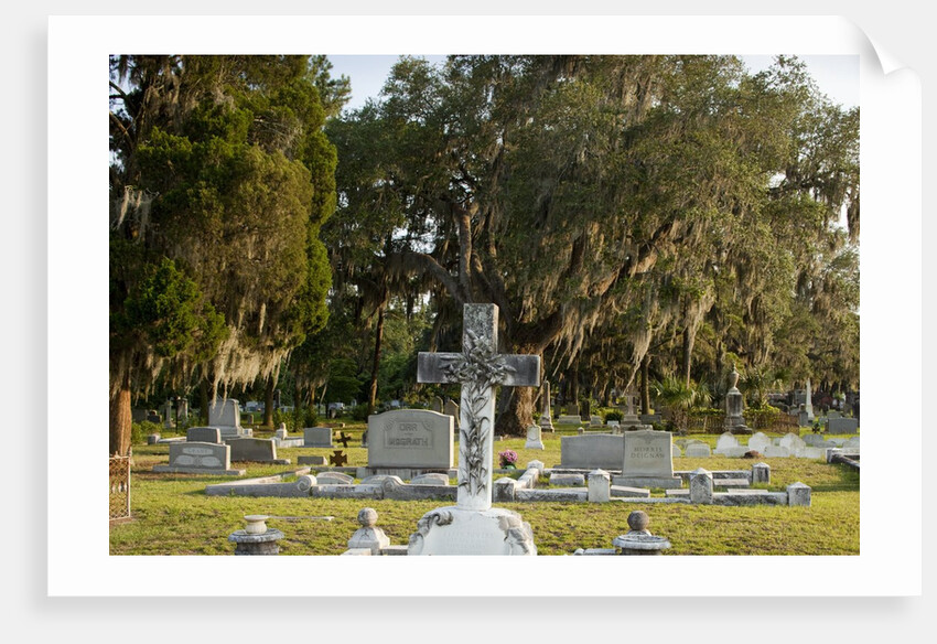Bonaventure Cemetery, Savanna, Georgia by Anonymous