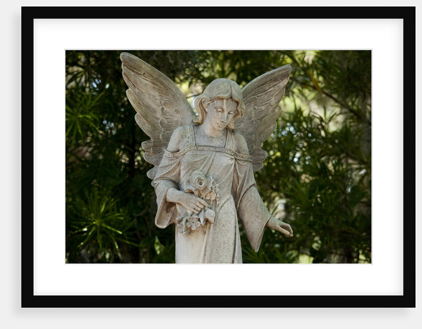 Bonaventure Cemetery, Savannah, Georgia by Anonymous