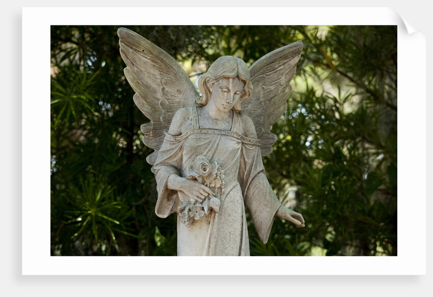 Bonaventure Cemetery, Savannah, Georgia by Anonymous
