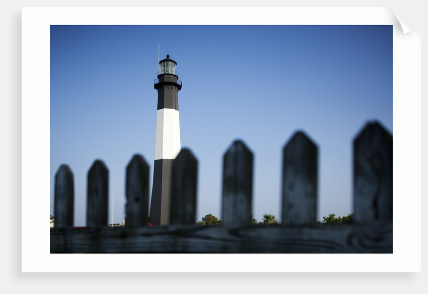 Tybee Lighthouse, Georgia by Anonymous