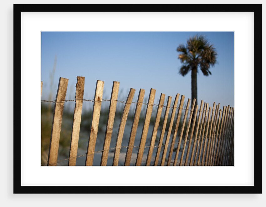 Beach at Sunset, Tybee Island, Georgia by Anonymous