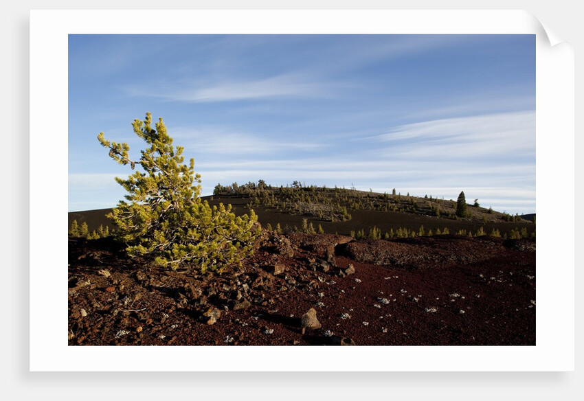 Volcanic Lava Fields, Craters of the Moon National Monument, Idaho by Anonymous
