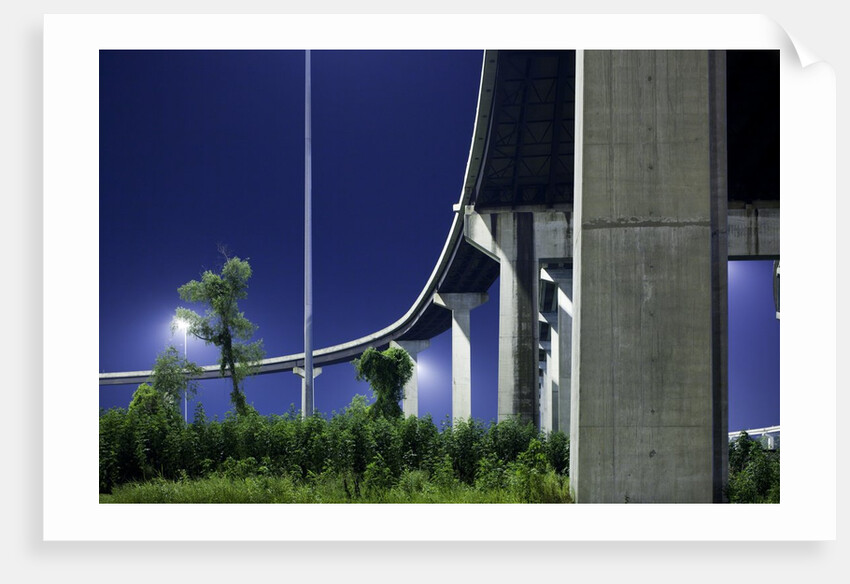 Highway Overpass, New Orleans, Louisiana by Anonymous