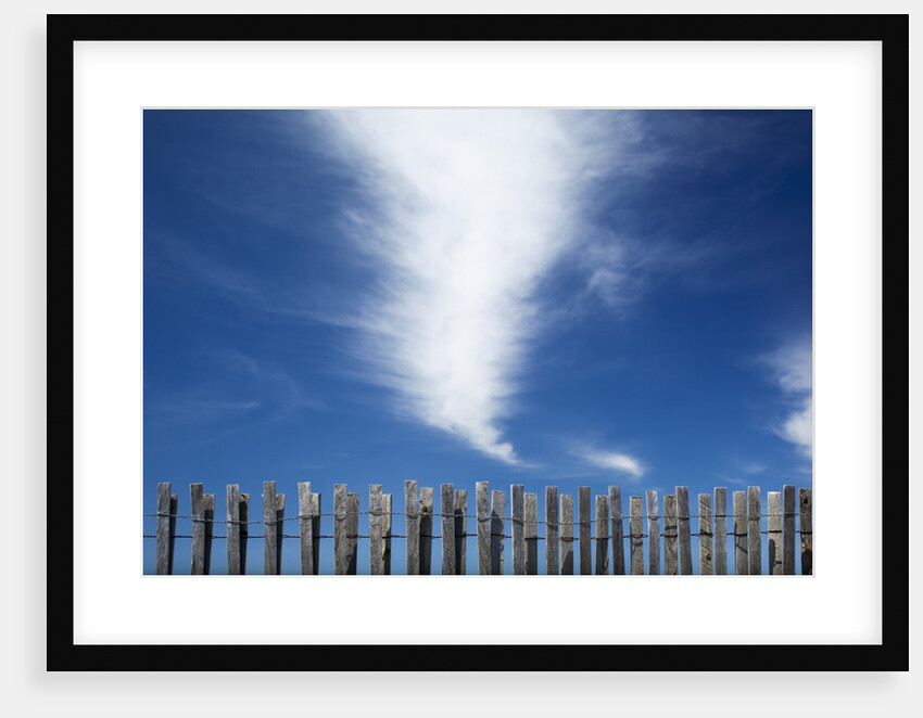 Cape Cod, Massachusetts by Anonymous