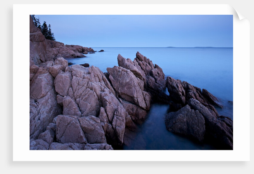 Atlantic Coastline, Acadia National Park, Maine by Anonymous