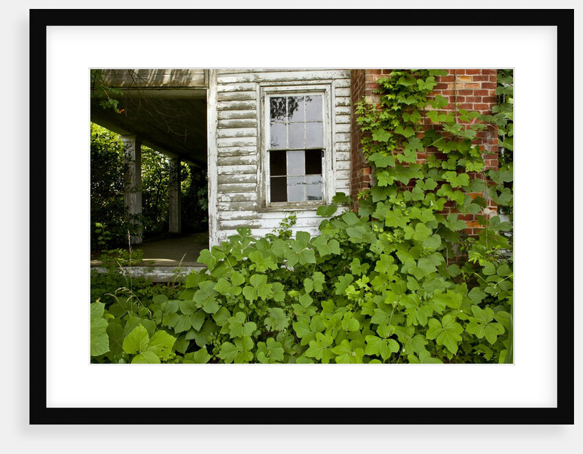 Abandoned Farmhouse, Armour, North Carolina by Anonymous