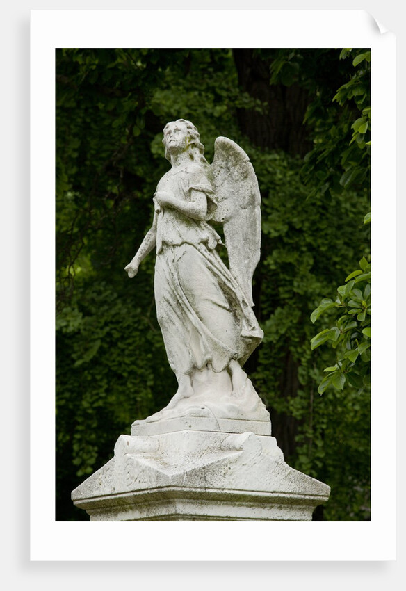 Greenwood Cemetery, New York by Anonymous