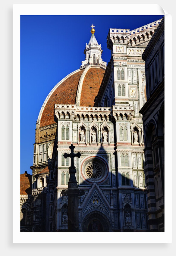 The Duomo of Florence with evening light by Anonymous