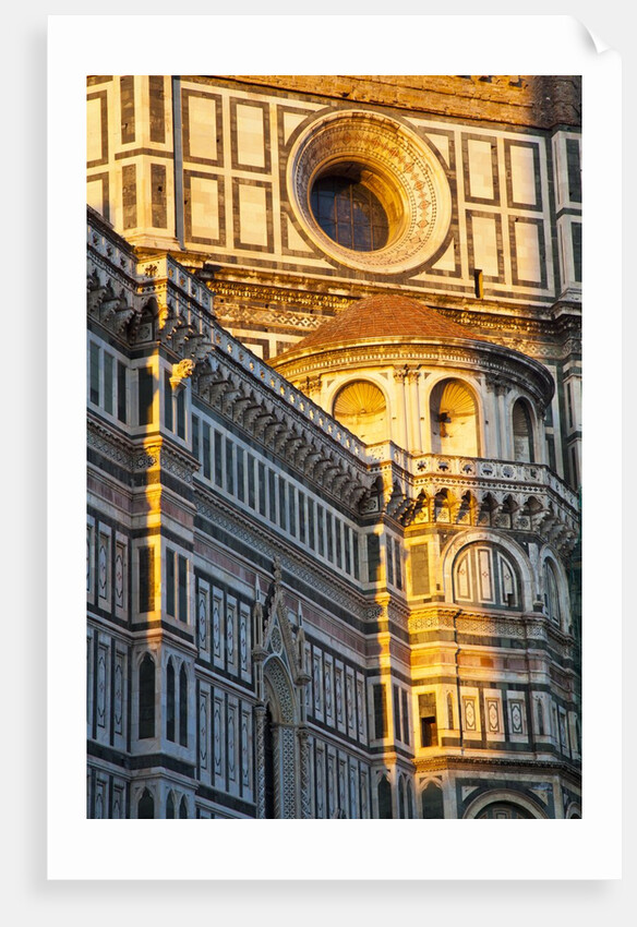 The Duomo of Florence with evening light by Anonymous