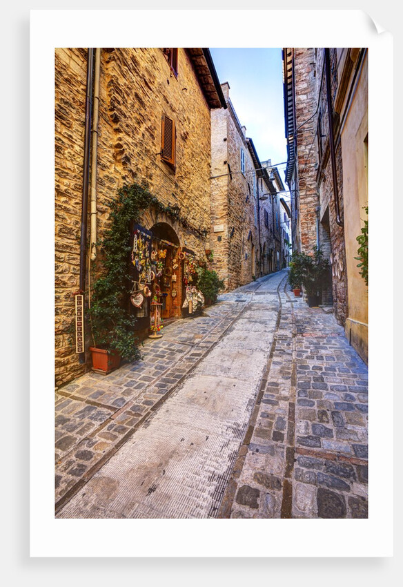 Street in Spello, Italy by Anonymous