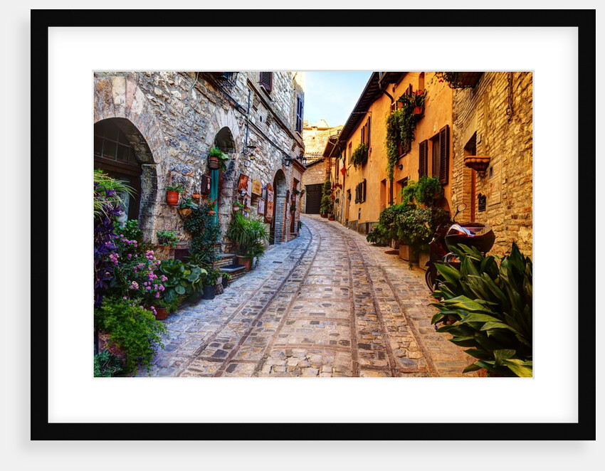 Street in Spello, Italy by Anonymous