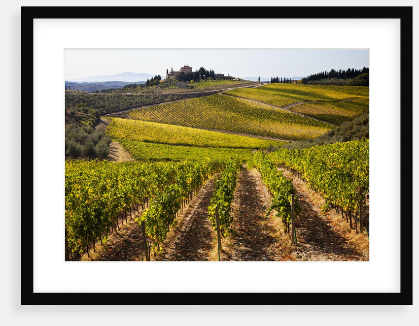 Villa and vineyards in the rolling hills of Tuscany by Anonymous