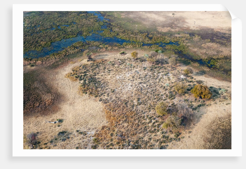 Okavango delta, Botswana by Anonymous