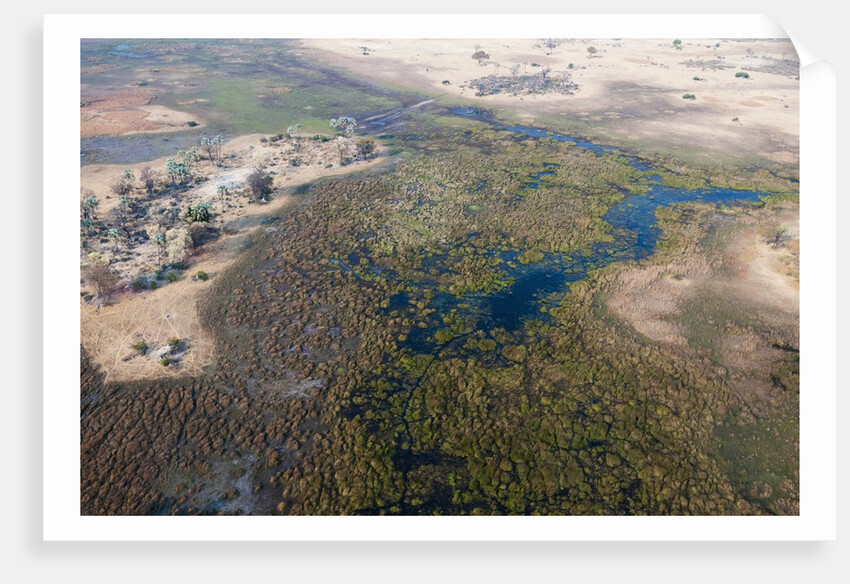 Okavango delta, Botswana by Anonymous
