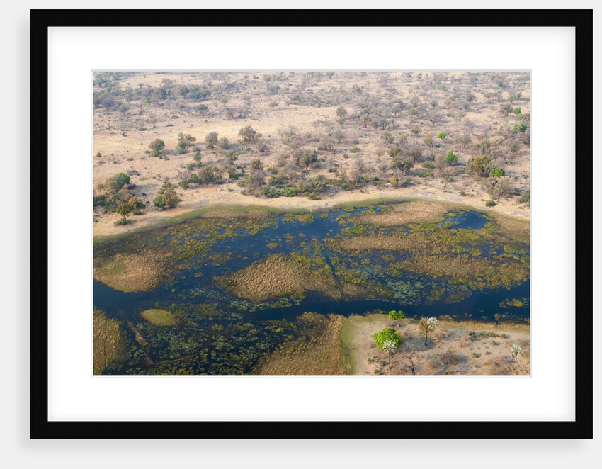 Okavango delta, Botswana by Anonymous