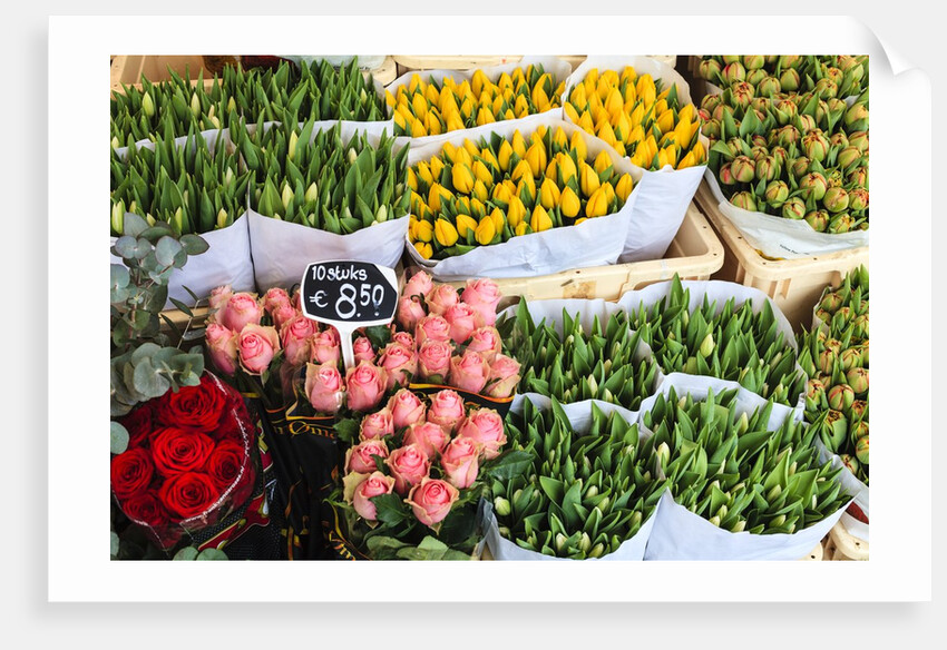 Flower market, Amsterdam by Anonymous