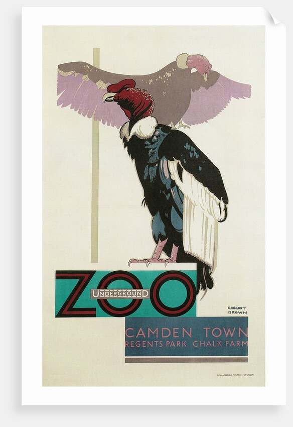 Buzzards, London Underground and Zoo by Anonymous