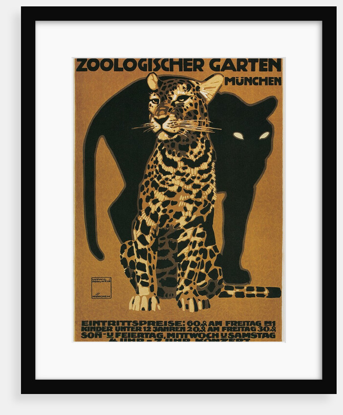 Leopard and Panther, Munich Zoo by Anonymous