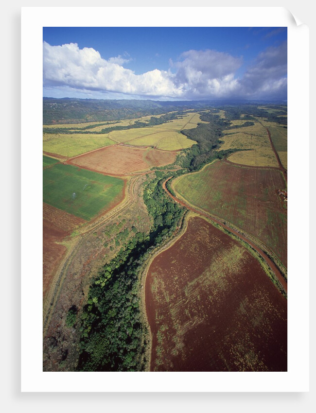 North Shore by Anonymous