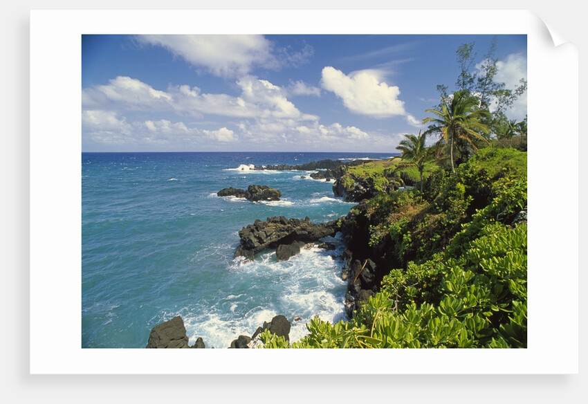 Wai'anapanapa park by Anonymous