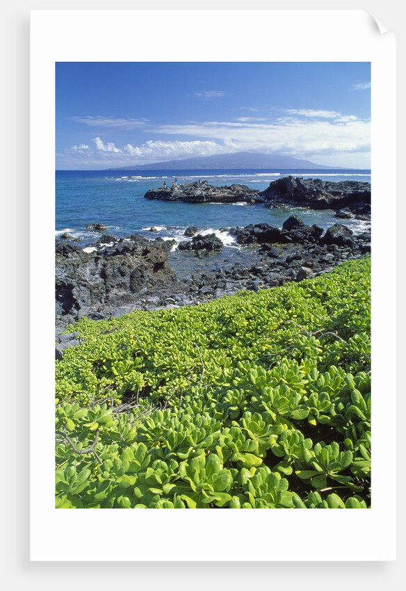 Waialua Bay by Anonymous