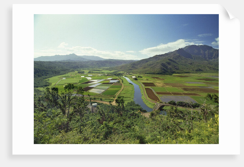 Hanaley Valley by Anonymous