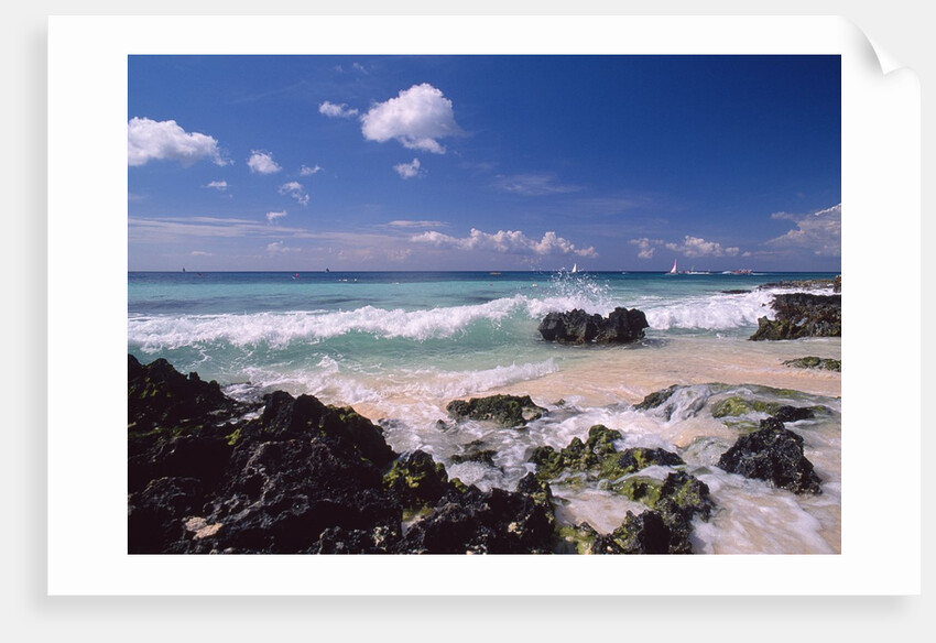 La Romana by Anonymous