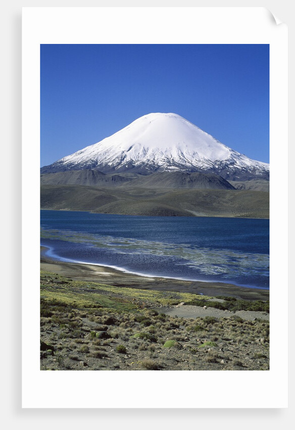 Lauca National Park by Anonymous