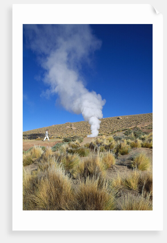 Atacama Desert by Anonymous