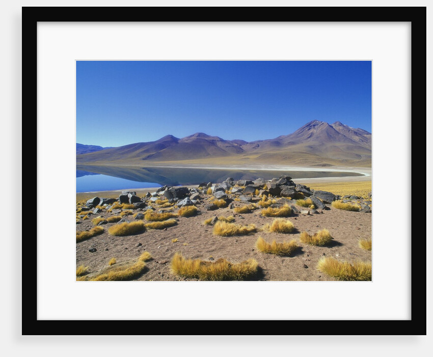 Atacama Desert by Anonymous