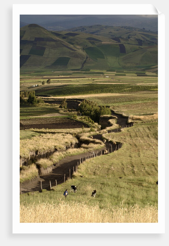 Track on Chimborazo Volcano by Anonymous