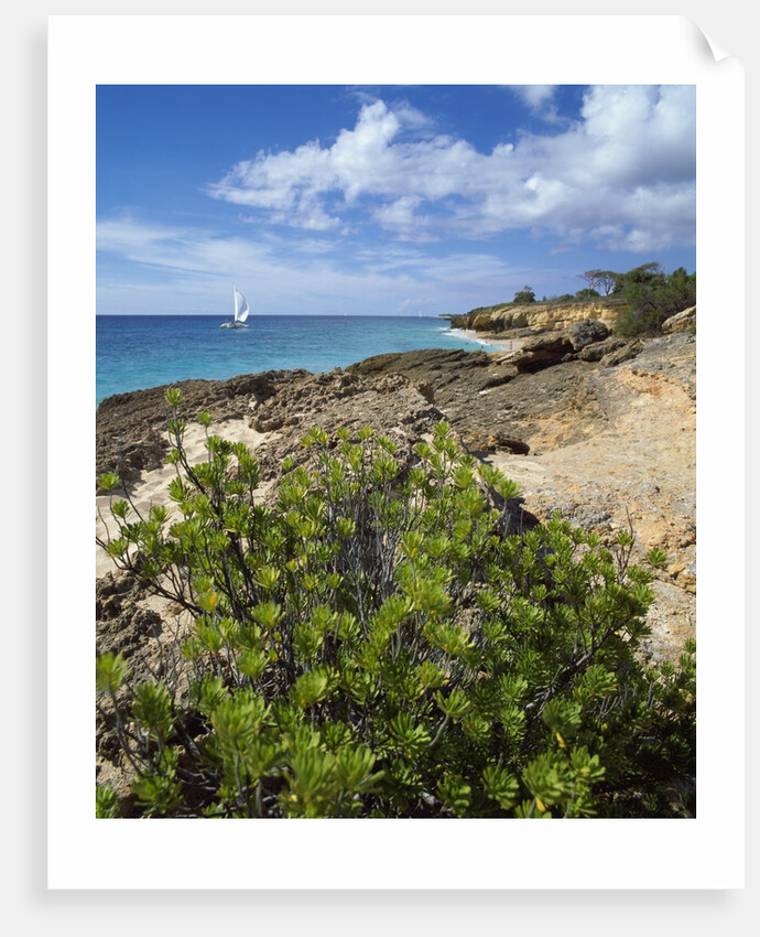 Coupecoy beach by Anonymous