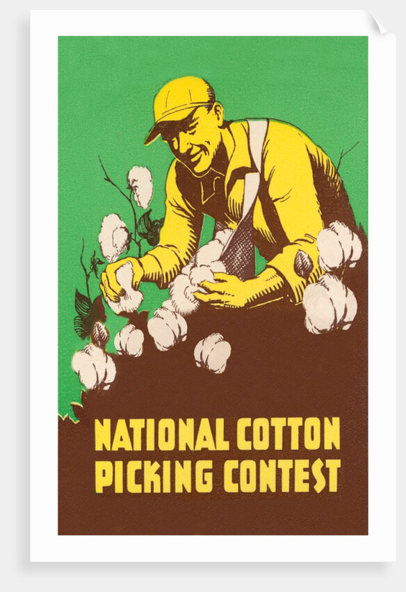 Poster for National Cotton Picking Contest by Anonymous