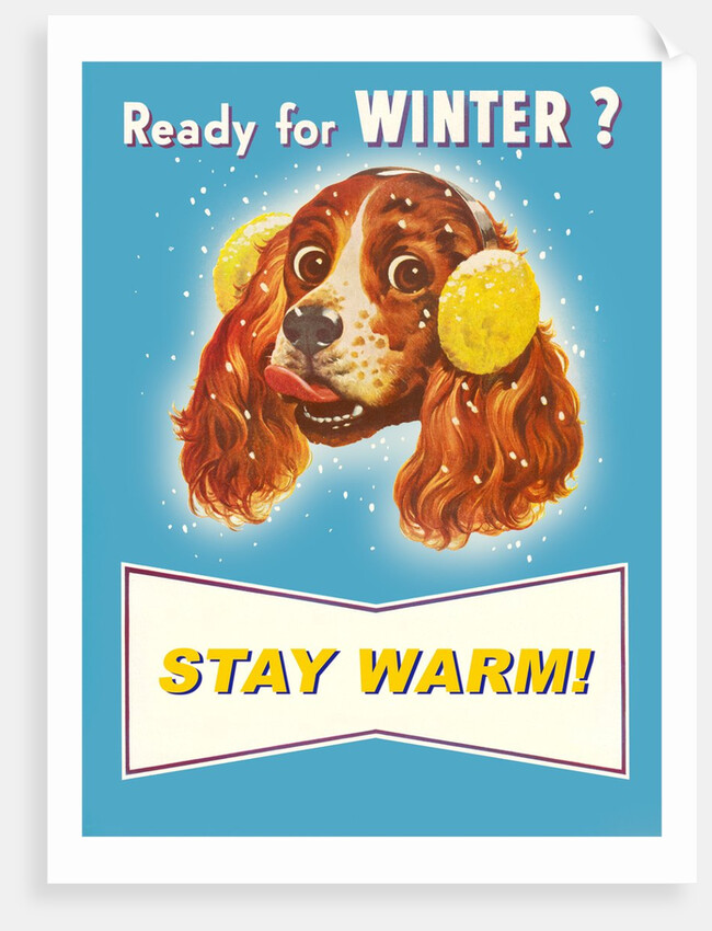 Ready for Winter? Stay Warm Dog with Earmuffs by Anonymous