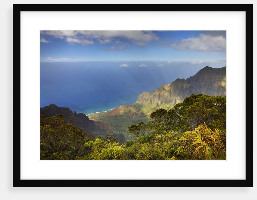 Canyon in Hawaii by Anonymous