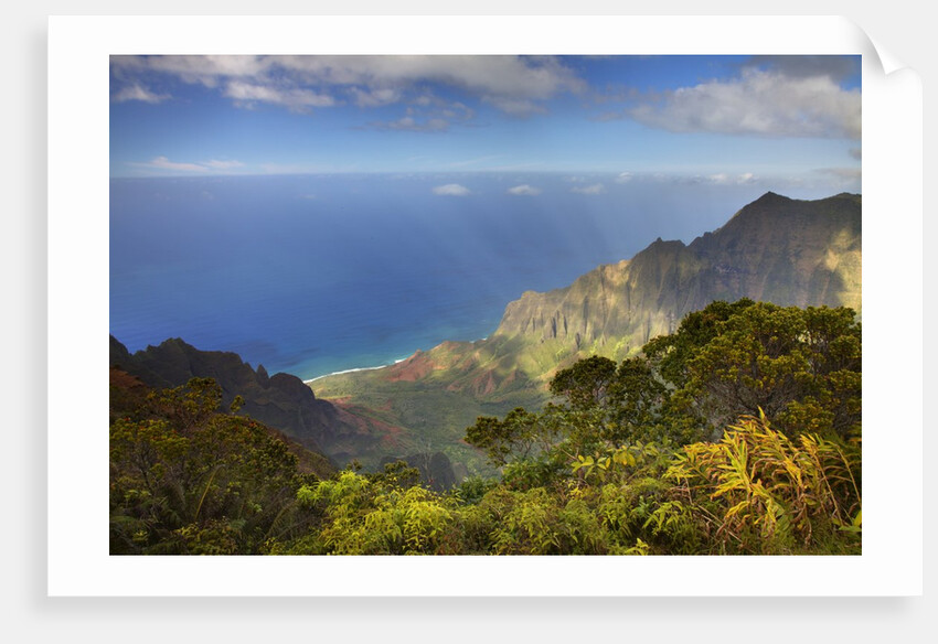 Canyon in Hawaii by Anonymous