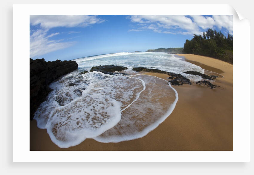 Pristine sand beaches of Kauai, Hawaii by Anonymous