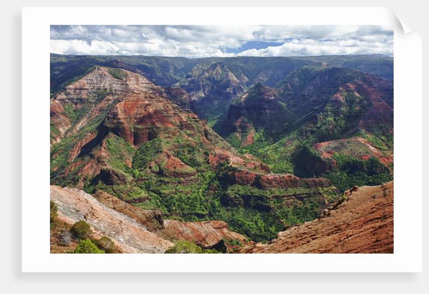 Waimea Canyon by Anonymous
