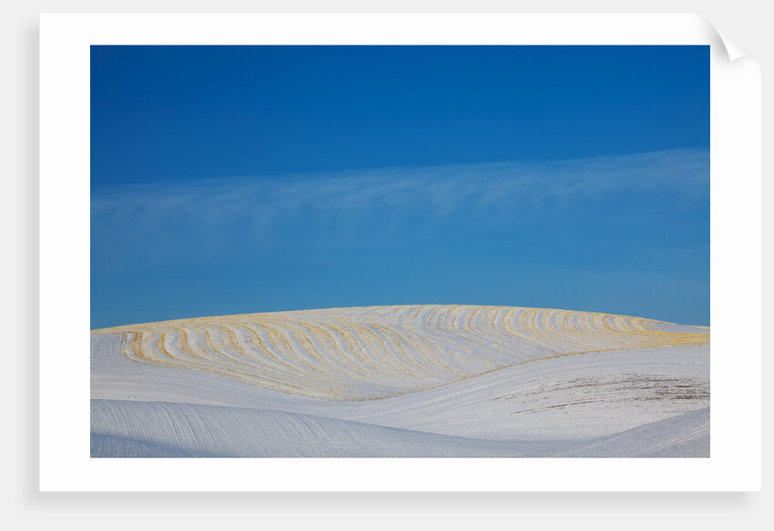 Patterns in snow covered wheat fields by Anonymous