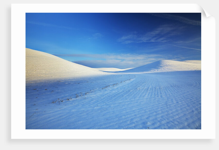 Patterns in snow covered wheat fields by Anonymous