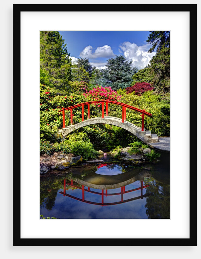 Kabota Gardens in Seattle by Anonymous