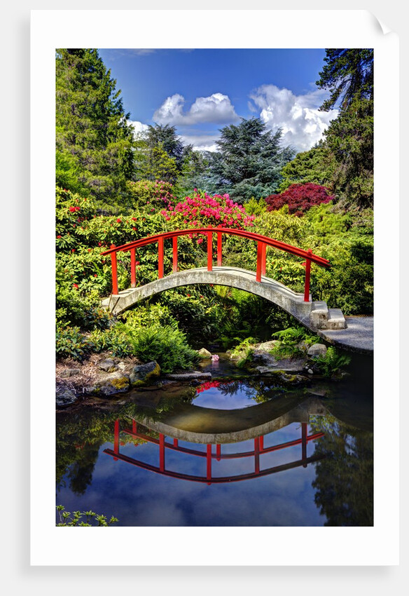 Kabota Gardens in Seattle by Anonymous