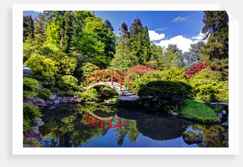 Kabota Gardens in Seattle by Anonymous