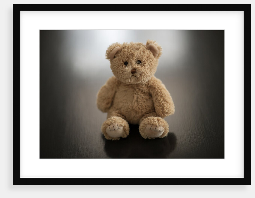 Studio shot of teddy bear by Anonymous