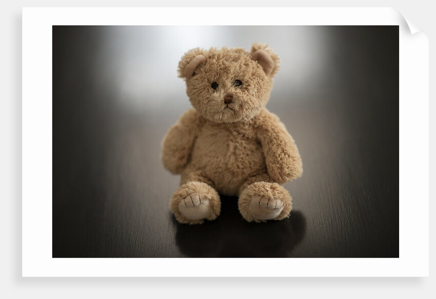 Studio shot of teddy bear by Anonymous